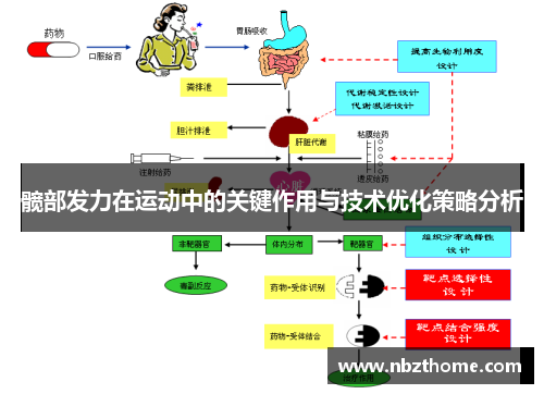 髋部发力在运动中的关键作用与技术优化策略分析